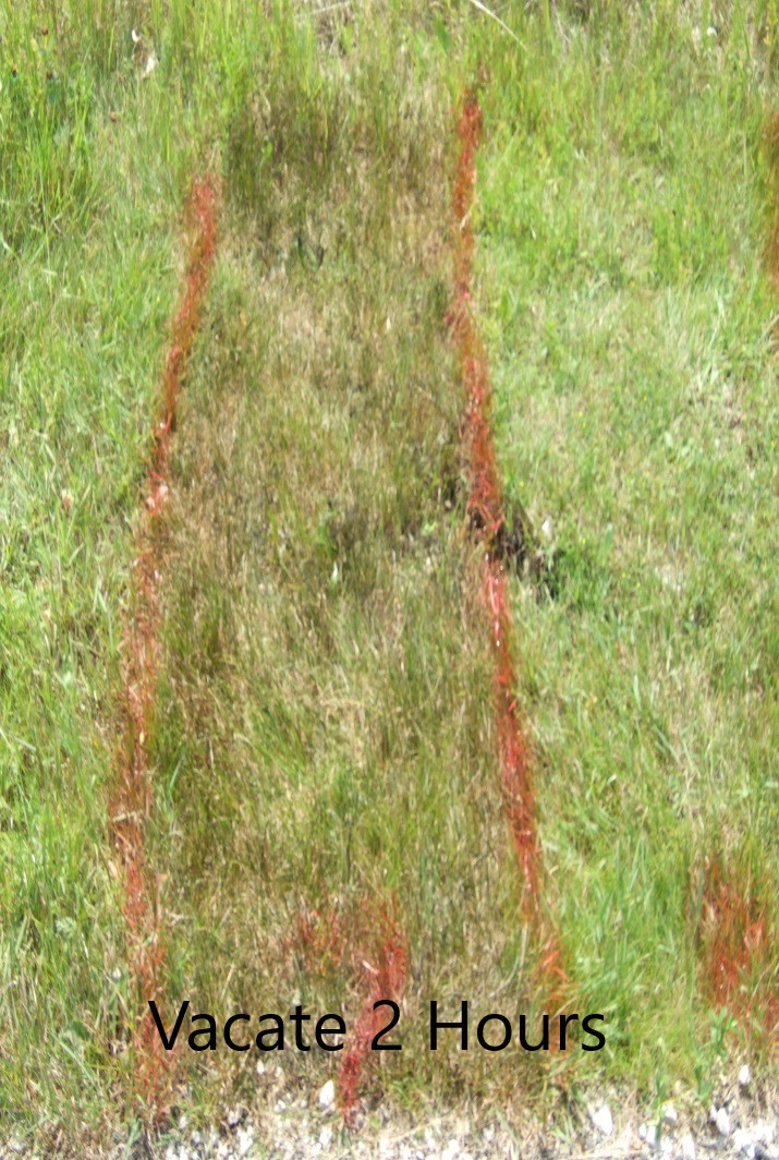 VACATE Total Weed Killer